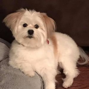 Meet your Posher, Becky